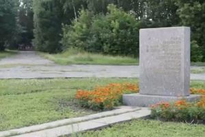Мельниченко предложил Лузгину взять идею жителя Пензы в работу