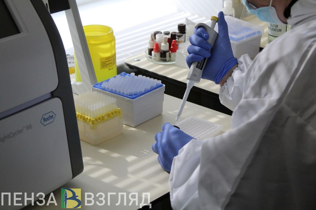 Рост числа заболевших ковидом, новый фигурант в деле Белозерцева и удар током: новости Пензенской области за 10 июля