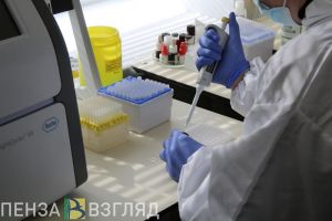 Рост числа заболевших ковидом, новый фигурант в деле Белозерцева и удар током: новости Пензенской области за 10 июля