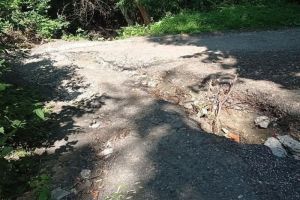 Жители Пензы возмущены «безобразием» на Тропе здоровья