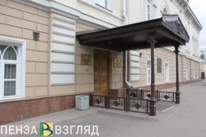 Наталью Назарову намерены избрать в комитет по экономической политике пензенского ЗакСобра
