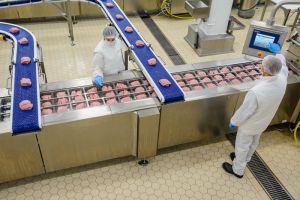 В Пензенской области за полгода произвели более 200 тысяч тонн скота и птицы