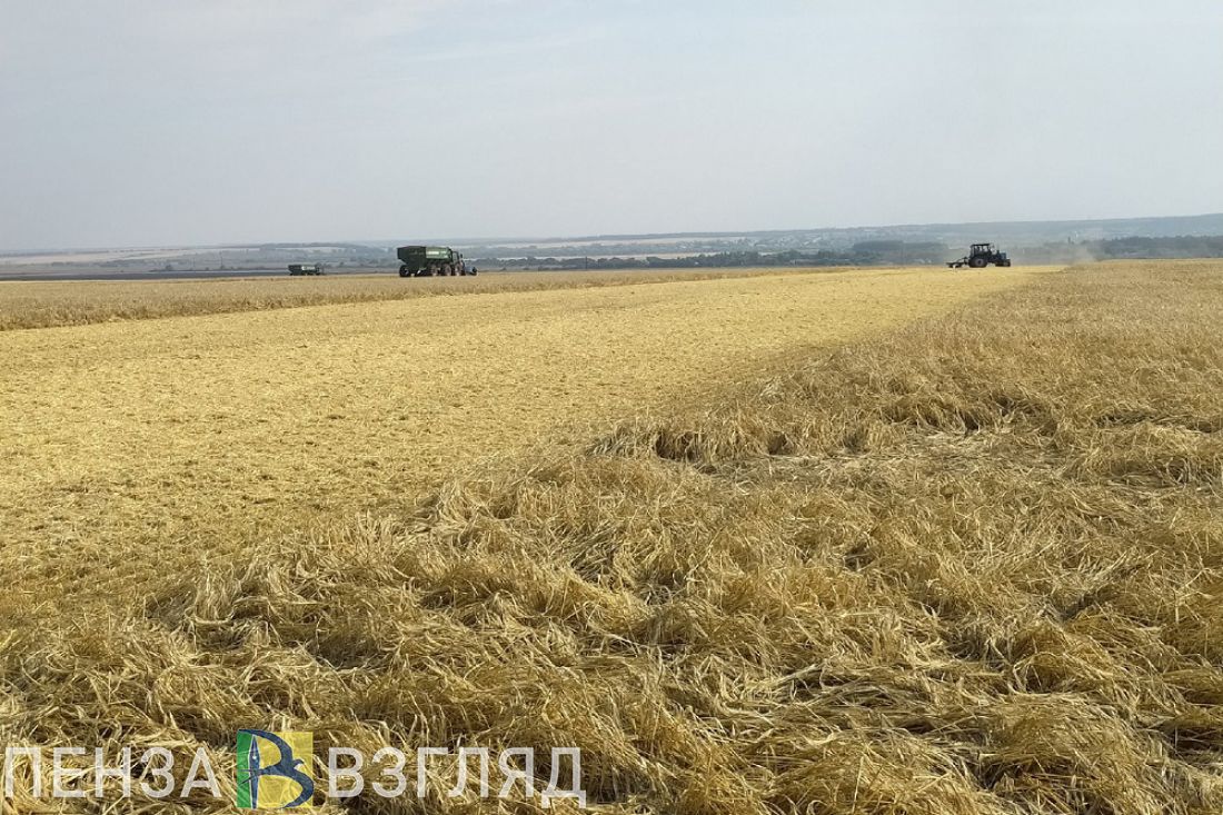 Пензенские аграрии получили 1 000 000 тонн зерна