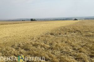 Пензенские аграрии получили 1 000 000 тонн зерна