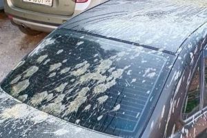 В центре Пензы неизвестные облили легковой автомобиль химией для снятия краски