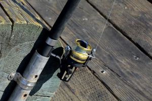 В Пензенской области рыбака шокировали кровавые пятна у карася