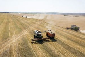 Около 2 миллионов тонн зерна собрали аграрии Пензенской области