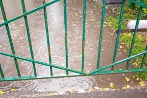 В Пензе лужа встала на пути детей в походе за знаниями