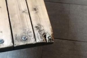 На Фонтанной площади в Пензе вновь изуродовали элементы благоустройства