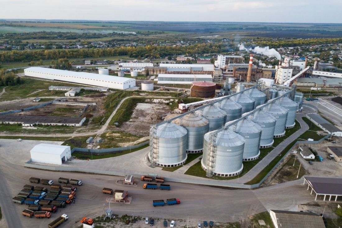 Экспорт агропромышленного комплекса Пензенской области составил 78 миллионов долларов