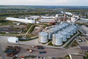 Экспорт агропромышленного комплекса Пензенской области составил 78 миллионов долларов