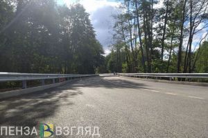 На дороги в Пензенской области из федерального бюджета могут выделить дополнительные средства
