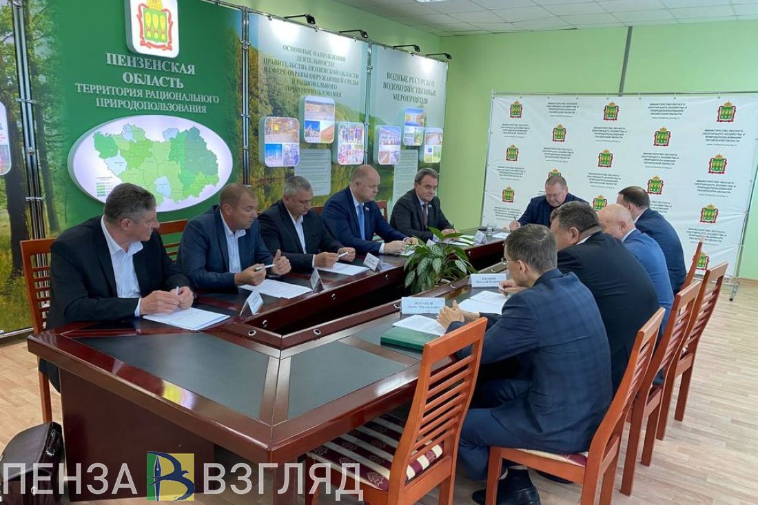 В Пензенской области могут значительно увеличить сроки договоров аренды лесных участков