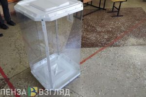 Депутат Пензенской Гордумы прокомментировала предварительные итоги выборов