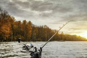 Рыбак достал из пензенского водоема гигантскую добычу