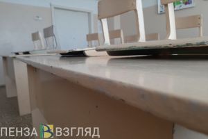 В соседнем с Пензенской областью регионе школьников перевели на дистанционку