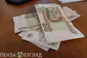 Пензенцам объяснили разницу между «общим котлом» и спецсчетом