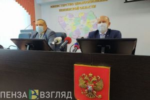 Перекусихин и Космачев прокомментировали переход на дистанционное обучение в Пензенской области