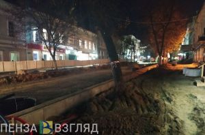 «Глухой забор». Пензенцы пожаловались на невозможность пройти в верхней части улицы Московской