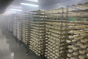 Пензенская область экспортировала продукцию АПК почти на 90 миллионов долларов