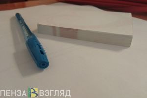 Пензенский депутат Рогожкин заявил о сложении своих полномочий