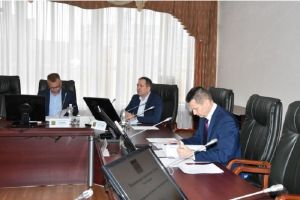 В пензенской Гордуме рассмотрели вопрос о досрочном прекращении полномочий депутата