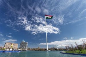Учительница из Пензенской области стала участником гуманитарного проекта