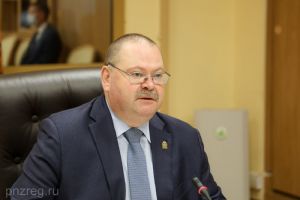 Мельниченко рассказал, какие пензенские турпроекты заинтересовали вице-премьера РФ