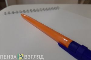 Стало известно, кем будет работать экс-прокурор Пензенской области Канцерова