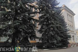 Пензенский госуниверситет переходит на дистанционное обучение