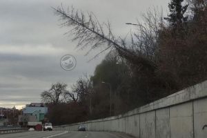 В Пензе над дорогой по улице Салтыкова-Щедрина нависла угроза