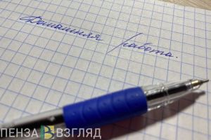 Мельниченко сообщил, планируется ли переводить пензенских школьников на «дистанционку»