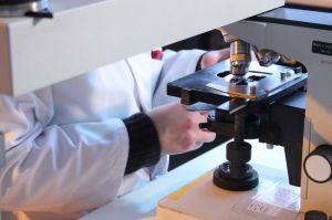 Александр Гинцбург оценил безопасность назальной вакцины