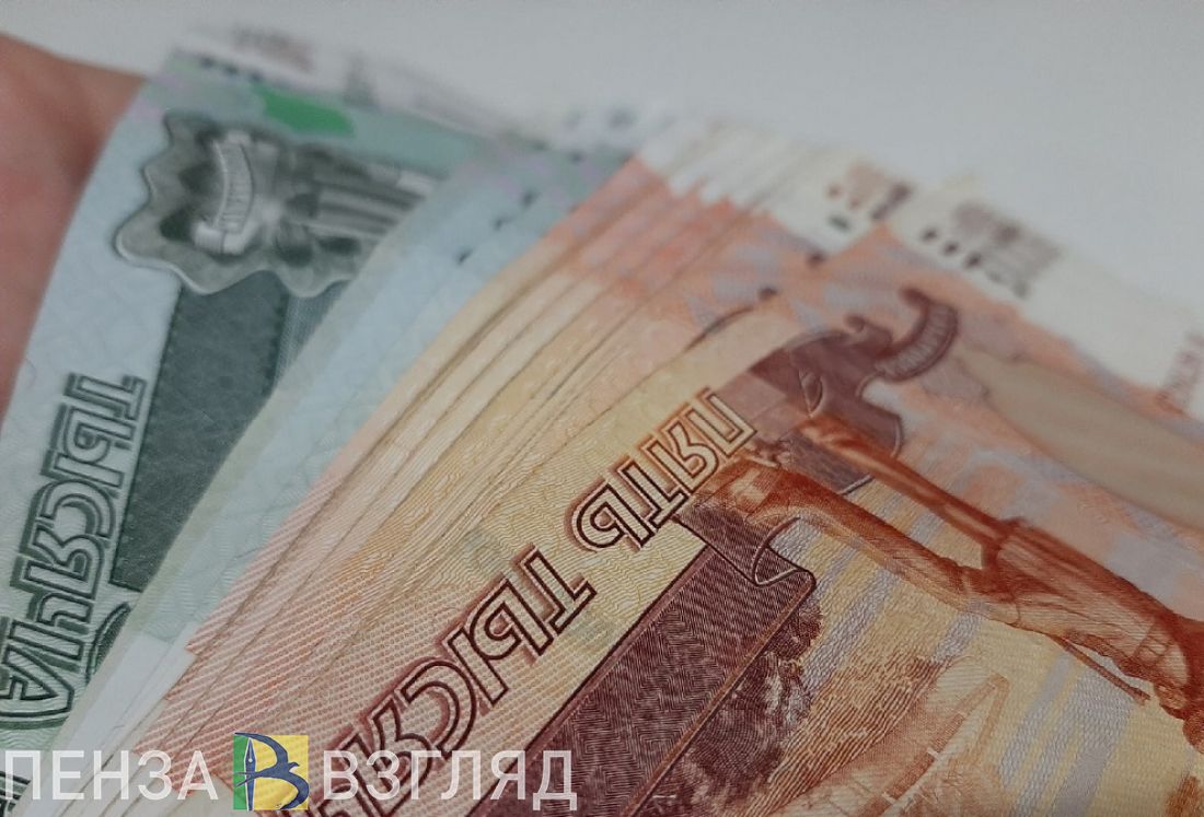 Депутатам пензенской Гордумы озвучили прогнозы по муниципальному долгу