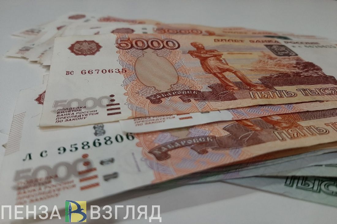 Более 100 тысяч рублей в месяц в Пензенской области зарабатывает 1,9% сотрудников