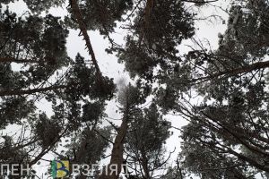 Появление хищных животных в пределах города шокировало пензенцев