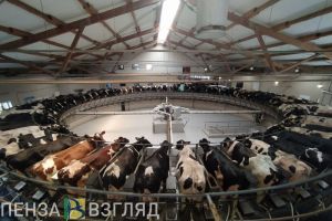 В Пензастате рассказали про продовольственную безопасность региона