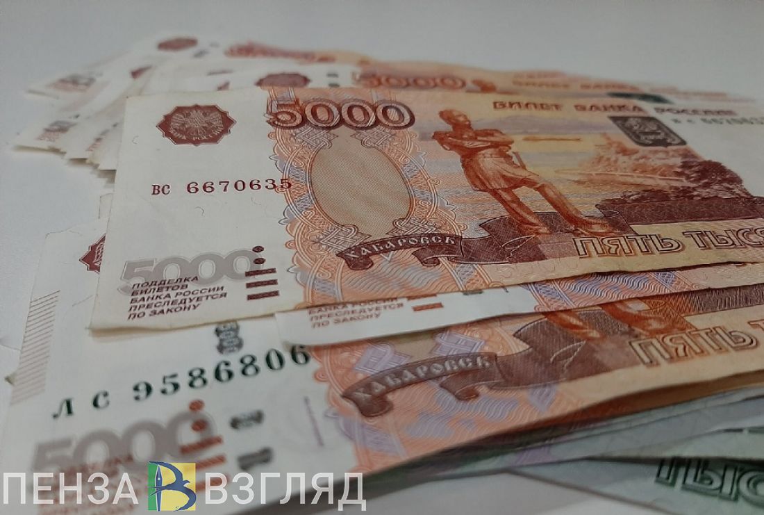 В Гордуме Пензы обсудили, на что в первоочередном порядке будут финансироваться расходы