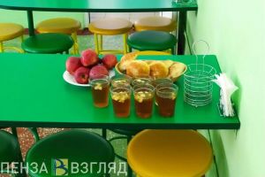 В школах двух сел Кузнецкого района проверили организацию питания детей