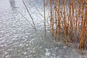 В Пензенской области сняли на видео, как дети гуляют по тонкому льду водоема