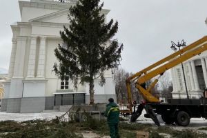 «Какое кощунство!» Пензенца возмутила опиловка новогодней ели возле Спасского собора