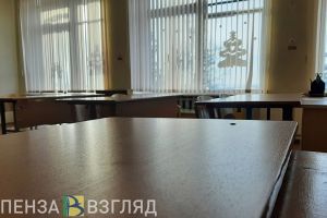 Пензенские школьники досрочно уйдут на зимние каникулы