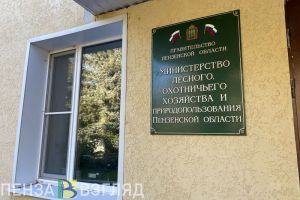 Исполняющим обязанности главы пензенского Минлесхоза стал Ришат Алтынбаев