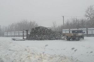 В Пензенской области рухнула главная елка райцентра