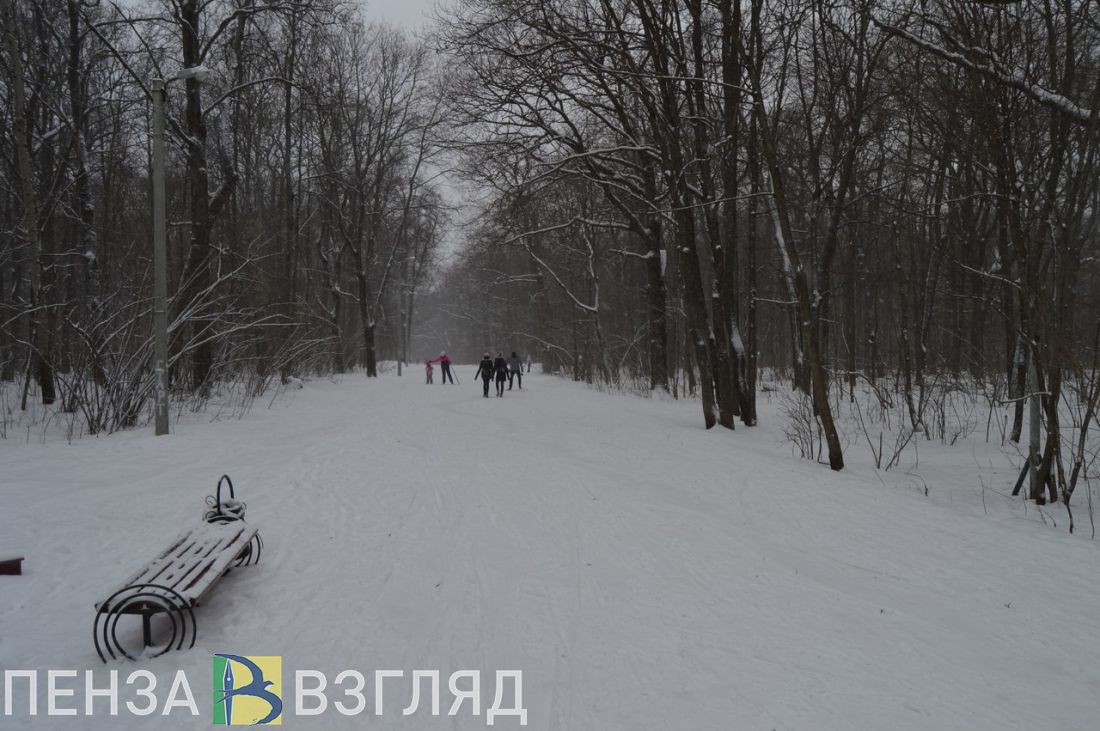 Ликвидация последствий снегопада, вакцинация детей и аварии - новости Пензы за 26 декабря