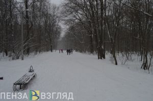 Ликвидация последствий снегопада, вакцинация детей и аварии - новости Пензы за 26 декабря