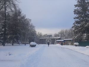 Ночные морозы, смертельный пожар и увеличение смертей от ковида - новости Пензы за 4 января