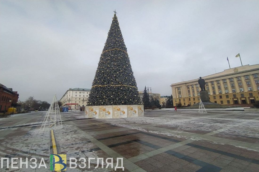 Работу домика Деда Мороза в Пензе продлили