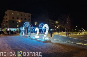 Итоги новогодней кампании, снежный прогноз погоды и убийство косуль - новости Пензы за 10 января
