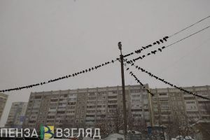 Фотовзгляд. Староновогодние гирлянды